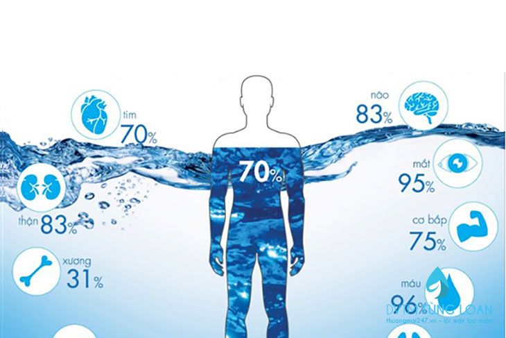 Nước vô cùng quan trọng với sức khoẻ con người